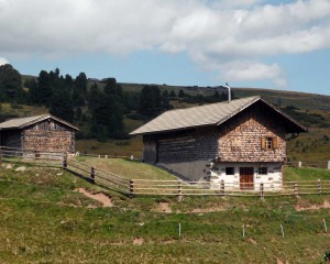 Tempo permettendo intraprendiamo gite sull'Alpe