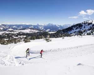 Langlaufen mit Panoramablick auf die Dolomiten